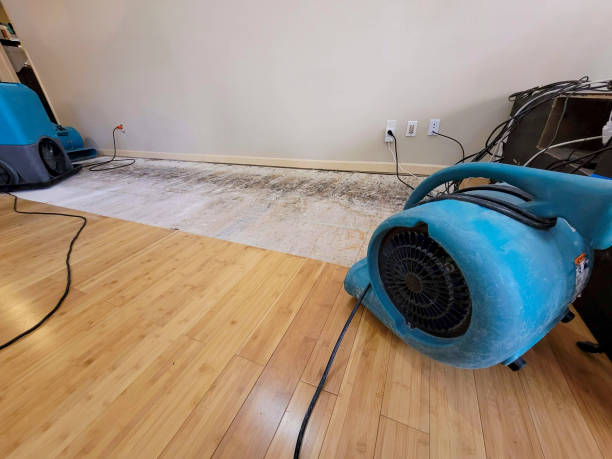 Professional Flood Damage Cleanup technician working in Pleasant Hill, CA